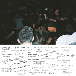 绿帽社入口网站在线
