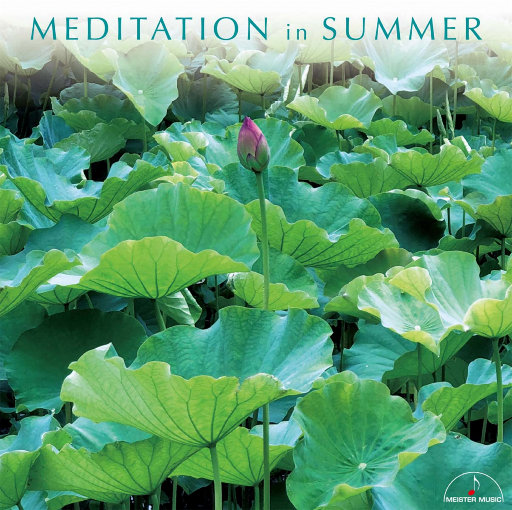 绿帽社入口网站在线
